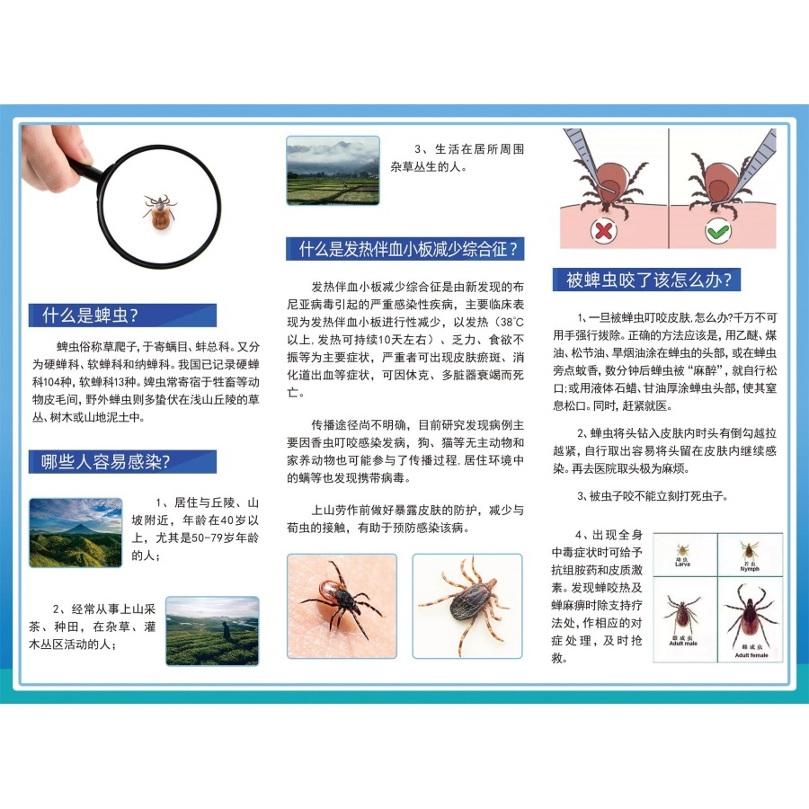 红火蚁的危害与防范科普宣传海报展板怎样防治玉米田地下害虫墙贴