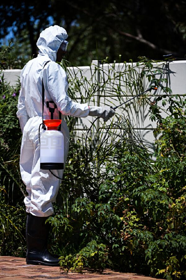 男人做害虫防治