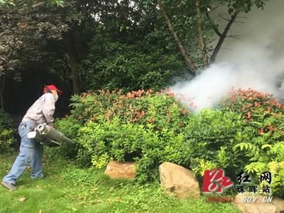 湖南珠晖区 世界害虫日科普宣传进社区 筑牢家庭健康防线