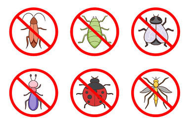 从“爆米花”图标到绿色防线 现代害虫防治服务的创新与策略