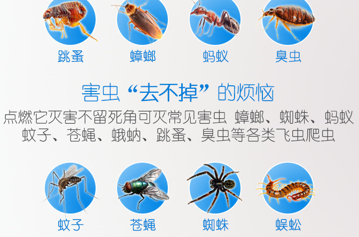 冠康杀蟑烟剂 全面害虫防治的一站式解决方案