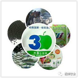 辣椒与青椒常见害虫防治全攻略 高效护航蔬菜种植