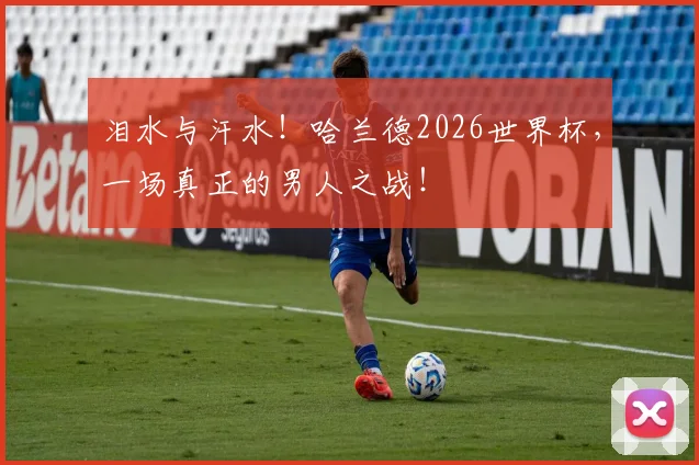 泪水与汗水!哈兰德2026世界杯,一场真正的男人之战!